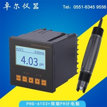 在線PH計PHG6103